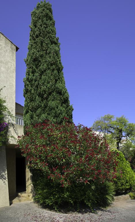 Motel Le Vieux Moulin LʼÎle-Rousse Exterior foto